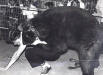 "Sometimes you eat the bear, sometimes the bear eats you".  As an undergrad at Ohio State I challenged Victor the Wrestling Bear.  I think my unorthodox approach had him baffled.